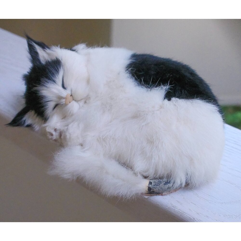 Realistic Furry Black and White Sleeping Cat